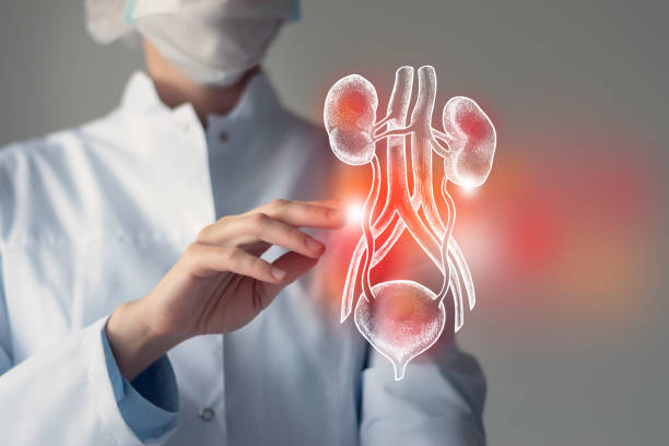 Early Kidney Failure Detection at Livasa Amritsar - Comprehensive Warning Signs Assessment